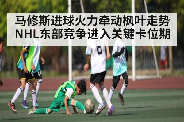 马修斯进球火力牵动枫叶走势 NHL东部竞争进入关键卡位期